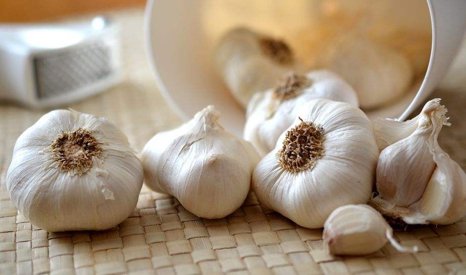 garlic