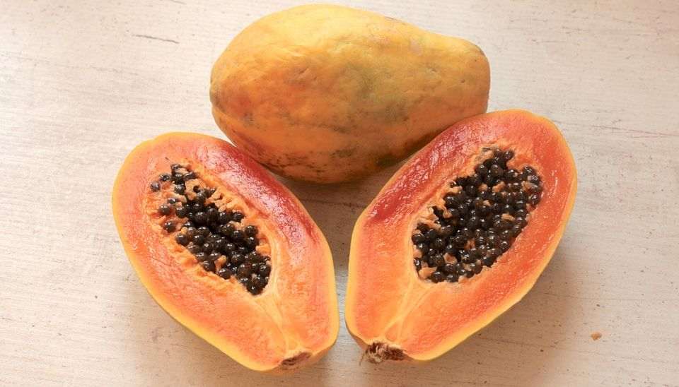 papaya